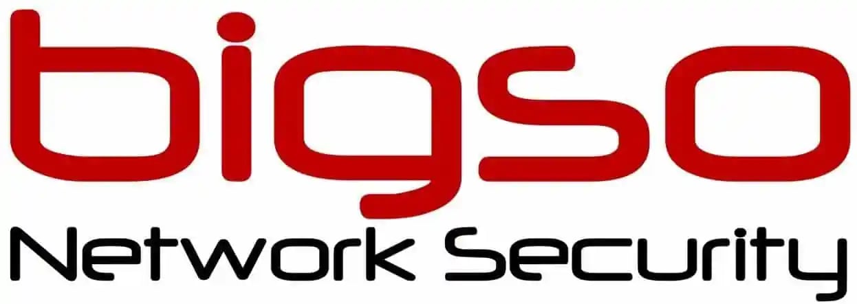 cropped-cropped-logo-bigso-2021